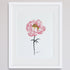 PINK PEONY POSTER